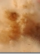 improve your photography skills with rallyphotography.com